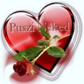 /album/fenykepgaleria/a168755358-12553562-7688757-jpg/