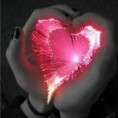 /album/fenykepgaleria/hearts31-jpg/